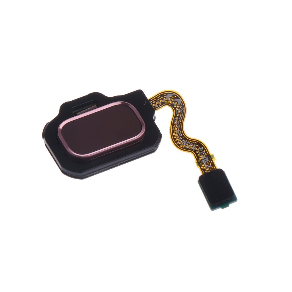 Датчик отпечатков пальцев (Tou – обзор и цена Fingerprint Cable Flex
